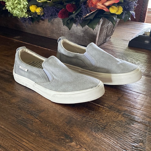 Taos Footwear Shoes - Like New Taos Tennis Shoes